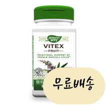 네이쳐스웨이 바이텍스 후르츠 400mg 100캡슐, 1개, 100정