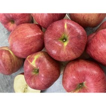 사과 홍로 가정용 2kg 3kg 5kg 청송 상주, 1개, 홍로 사과 소과 (15-18과) 3kg