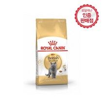 로얄캐닌 브리티시 숏헤어 어덜트 10kg, 단품, 단품
