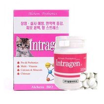 인트라젠 타블렛 200정 고양이영양제 고양이 영양제, 3개