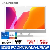 삼성 올인원PC DM530ADA-L78AW - 8GB 1TB WIN11 HOME ED