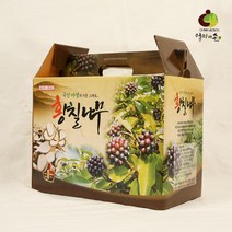 SSBEST국내산 황칠나무즙 1박스(100ml x 60p), 1개, 상세페이지 참조