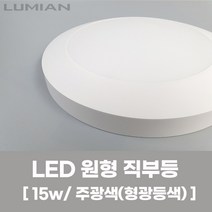 LED 직부등 15W - 국내생산 천장등 형광등 현관등 베란다등 원형직부등 주광색 형광등색LED