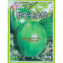 [씨앗맛집] 청옥풋호박 풋 애 찌개용 애기 호박 야채 채소 씨앗 씨 모종 종자 재배 키우기