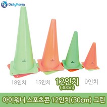 아이워너 30cm 12인치 스포츠콘 그린 축구연습 육상 스텝 훈련 운동 순발력 학교 체육 D