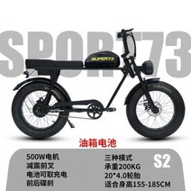 전기 팻바이크 파방모터 자전거 강아지 mtb 배달용 트렉 접이식 삼륜 2인용 출퇴근, 48V, 13AH, s2 1:1 탱크 배터리/ 리튬 그래핀 배터리