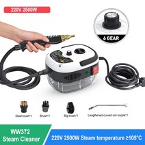 다기능 스팀 청소기 2500w 고압 고온 김이 나는 청소기 에어컨 주방 후드 자동차 청소기, 하얀, 220v, 유럽 ​​연합