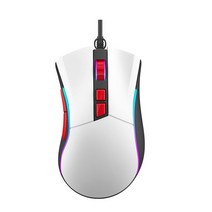 2세대 유선 무선 게이밍 마우스 병행 RGB 배그 블랙 화이트 PRO LED, 단일사이즈