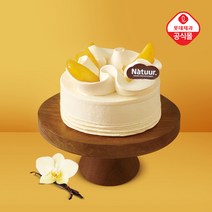 나뚜루 미니 스윗 망고 아이스크림 케이크