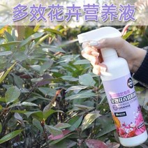 친환경 식물살충제 관리제 식물영양제 다목적 영양제 구충제 붉은거미 진드기 가정용 화훼, 02 멀티 영양구충제[500g] 2병 특혜