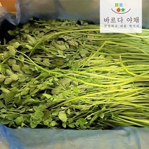 산지직송 100% 국내산 돌미나리 1kg 2kg, 싱싱미나리2kg