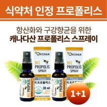 뿌리는프로폴리스 목스프레이 목에좋은 영양제 60ml 구강 건강 항산화 프리미엄 BEEPROPOLIS 식약처인정 고함량 PROPOLISSPRAY 플라보노이드 원액 리퀴드 액상