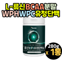 류신보충제 유청단백질 운동후 단백질 보충제 먹는법 20대 30대 40대 50대 60대 성인 남자 여성 우먼 중년 장년 시니어 프로틴 단백질 보충제 추천 WPH WPC