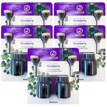 불스원 그라스 디퓨저 블루 블랙베리 100ml 2개 5세트 (총 10개입), 상세페이지 참조, 상세페이지 참조, 상세페이지 참조
