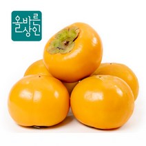 전국민의 단감 특산품 진영단감 3kg 5kg 10kg(특가) 예약판매중, 대, 1개