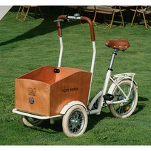 역삼륜자전거 배달 세발바이크 삼발이 애완견 산책 역세발, 민트