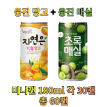웅진 망고&매실 180ml X 각30개(총60개) 과채 과즙 음료 업소용 소캔 미니캔 음료도매 착즙, 망고 180ml 30캔 + 초록매실 180ml 30캔