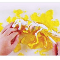 화석발굴 공룡뼈 과학교구 관찰력 탐구력 호박겔