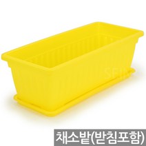 베란다 채소밭 텃밭 화분 + 받침 세트(1P) - 채소 상자 실내 예쁜 분갈이 상추 인테리어 사각 꾸미기 쌈채소 플분 플라스틱, 05_SEIN_베란다세트_옐로우(중형)
