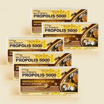 네이쳐스그린웨이 호주 프리미엄 고함량 프로폴리스 5000mg 120캡슐 4개월분 플라보노이드 사은품, 5개