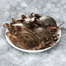 선상급냉 숫꽃게 4kg 16~20미 내외 1박스, 급냉 숫꽃게 4kg(16-20미내외)