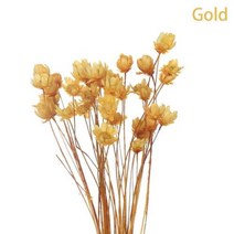 베리앤굿 3050pcs 미니 Babysbreath 신선한 말린 보존 꽃 작은 자연 꽃다발, gold-30pcs