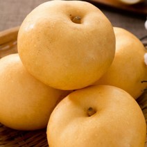 [명절선물] 배 나주 햇배 신고 특품 가정용 설 명절 과일 선물 세트, 햇배(신고) 특품 15kg (16-20과)