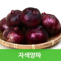 국내산 자색양파 3kg 싱싱한 햇양파 컬러푸드, 자색양파（특품）3kg