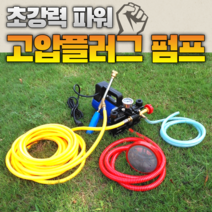 이동형 고압 양수기 펌프 12V48V60V220 볼트 고전압 농업용 전기 분무기 농약 제초제 살충제 방제 방역 살포기, 24V 플런저 펌프 무료 구리