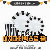 [초특가핫딜] 감성 디자인 스트라이프 일회용 접시 종이컵 세트 설날 홈파티 캠핑 집들이 간편함 선물 이지파티박스, 실속형
