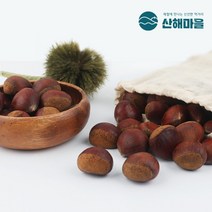 [산해마을] 공주정안알밤1kg대, 상세 설명 참조