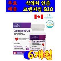 식 약 처 인증 인정 캐나다 코엔자임 Q10 coenzymeq10 파마젠 영양제 고큐텐 코큐텐 코쿠텐 고쿠텐 건강 기능 식품 캡슐 코스트코 홈쇼핑 tv 50 60 70대, 60캡슐 2개월분 X 3상자