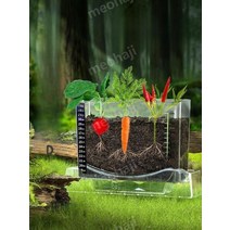 머하지 식물키우기 뿌리 성장 관찰 도감 일지 여름방학 과학 실험 세트, 식물관찰상자 [온도스티커 + 씨앗 4팩 발송]