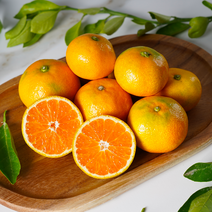 프레셔스 제주 GAP인증 당도선별 제철 감귤, 로얄과(S-L), 10kg