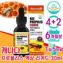 캐나다 식약처 인증 프로 플로 폴라 폴리 포 폴리스 포리스 추출물 플라 프라 보노이드 액상 리퀴드 스포이드 항산화 면역력 면연력 좋은 음식 식품 남자 남성 여성 여자 40대 중년, 4+2 6개월분 - 다니마켓