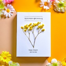 시논감성 꽃 답례품 결혼 조문 돌 국내산 꿀스틱 12g X 11포, 1box