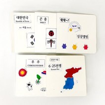 T_ DIY 방과후만들기 우리나라 역사 북아트 만들기 (5종선택), 3. 곤충
