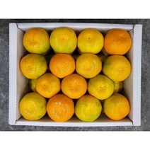 23년 제주 고당도 하우스감귤 가정용 선물용 소중과 로열과 Tangerine, 3kg