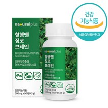 혈행 징코 브레인 90정 식약처 인증 식약청 정타입, 1개