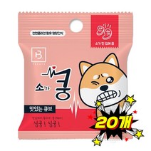 브리더랩 한입애 쿵 20g 소고기, 20개