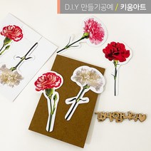 실사 카네이션이미지 종이꽃 만들기재료, 카네이션B