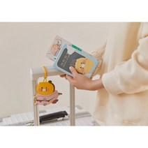 카카오프렌즈 러기지택 라이언 춘식이 어피치 3종 네임택