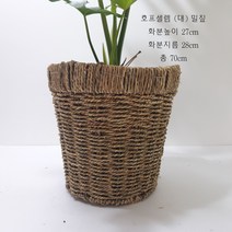 *쟈스민 식물* 호프셀렘, 1개, 밀짚 바구니