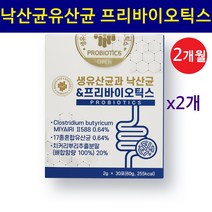낙산균 유산균 분말 가루 프로바이오틱 프리바이오틱스 가루 미야이리균 뷰티르산균 생존 아포 자연캡슐 발아율 스틱 효능, 2개