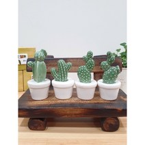 미니 선인장 조화 인조화분 4p 세트, 선인장 4p