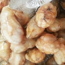 통통 오만둥이1kg