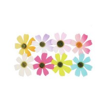 에브리데이쇼핑Art펠트 미니코스모스SET (지름4.5cm) 환경꾸미기 꾸미기재료 가을환경판 교실꾸미기 어린이집게시판 가을환경판꾸미기+dpqmflepdl, 상품대박, 상품대박