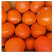 제주 석양 홍미향 홍매향 5kg내외 (포장재포함), 02 제주 석양 홍미향 홍매향 대