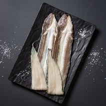 경남 통영 자연산 붕장어 대장어 1kg