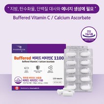 속편한 비타민C 1100 고용량 중성 비타민c 고함량 아스코르빈산 수용성 비타민씨 항산화 영양제 120정 약4개월분